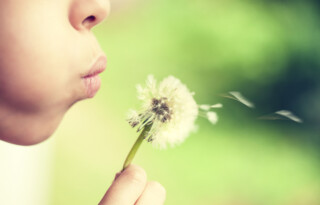 What about ventilation and hay fever?