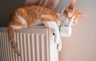 Radiateurs basse température : des avantages incontestables