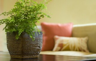 3 wypróbowane i przetestowane metody ulepszenia jakości powietrza w domu