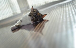 Peut-on combiner les radiateurs avec le chauffage par le sol ?