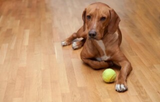 Welke vloeren combineer je beter níét met vloerverwarming?