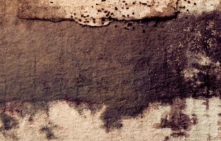 Ventiler votre cave pour prévenir les problèmes d’humidité