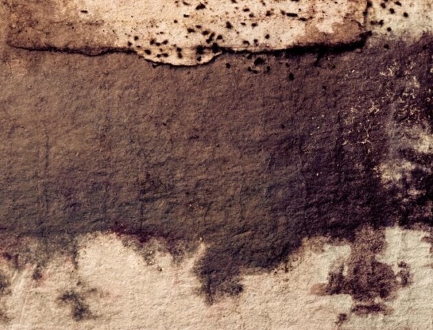 Je kelder ventileren als bescherming tegen vochtproblemen