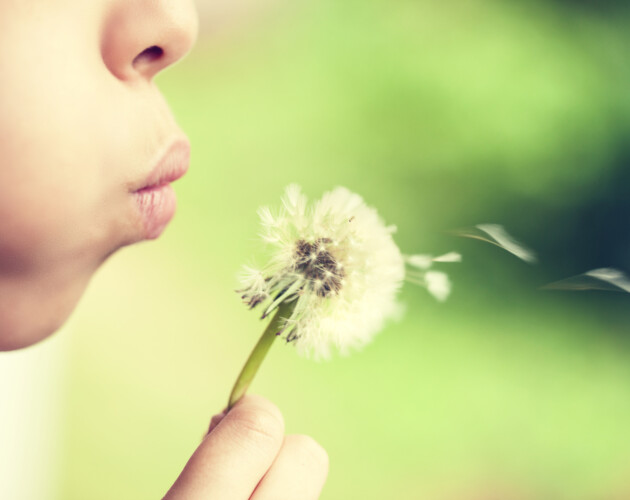 Wat met ventileren en hooikoorts?