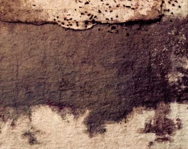 Je kelder ventileren als bescherming tegen vochtproblemen