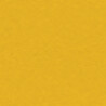 9815 Melon Yellow