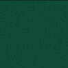 9821 Moss Green